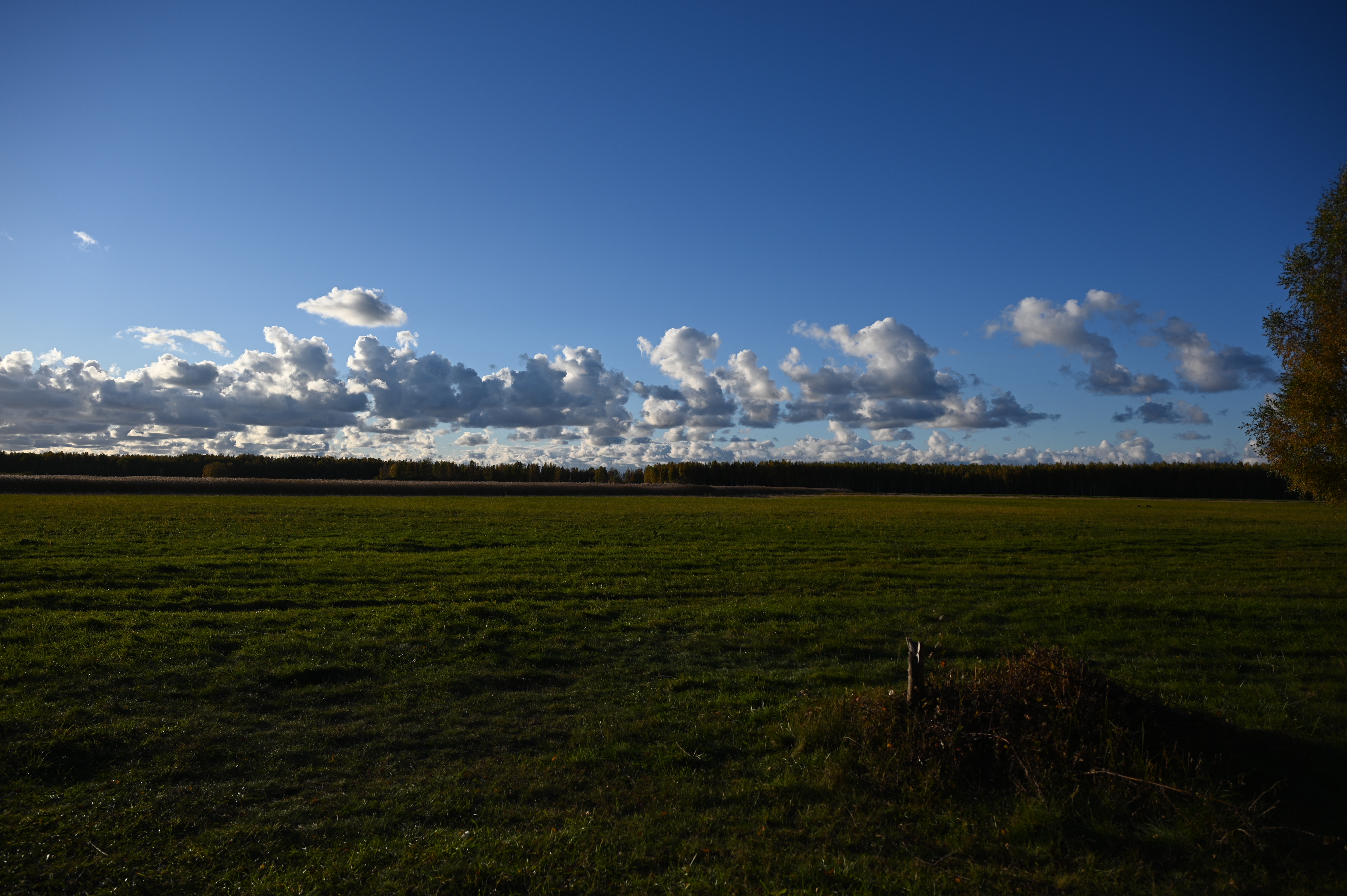 2025/10/18 - walk/DSC_0148.JPG